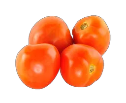 Tomate Chonto