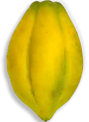Papayuela
