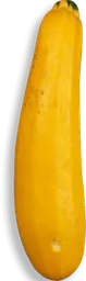 Zucchini