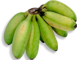 Plátano Guineo Verde