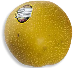 Pera Asiatica