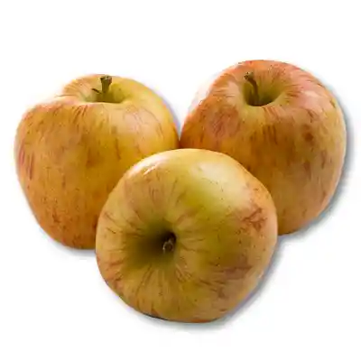 Manzana Gala