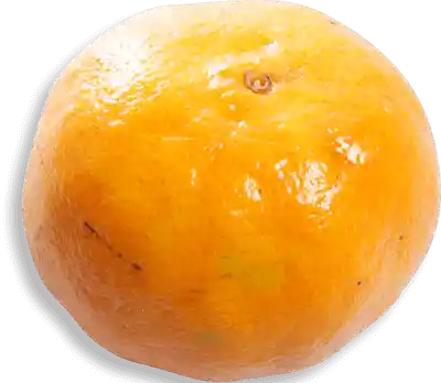 Mandarina Oneco