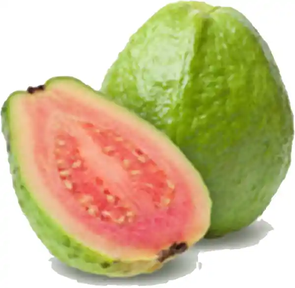 GUAYABA PERA