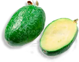 Feijoa