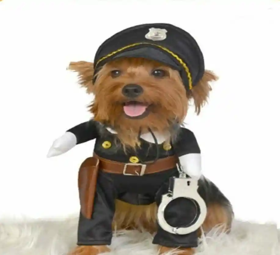 Mascotas Gold Disfraz Policia L