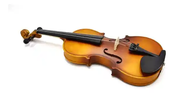 Hoffer Violín 4/4 3/4 Hoffer Microafinación Arco Pes