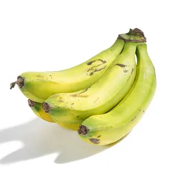 Banano Criollo