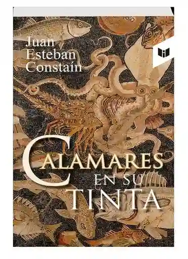 Calamares En Su Tinta