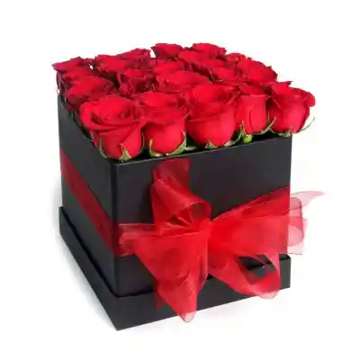 Yourgift Cofre 20 Rosas Rojas