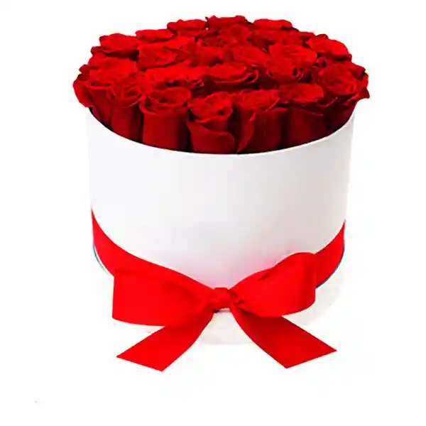 Yourgift Estuche White Redondo 24 Rosas Red