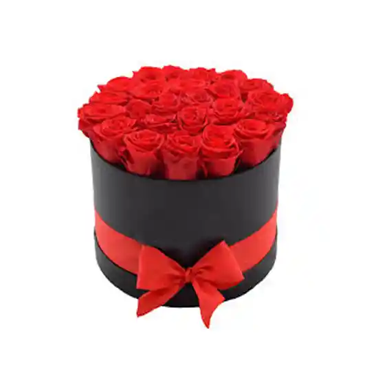 Yourgift Estuche Black Redondo 24 Rosas Red