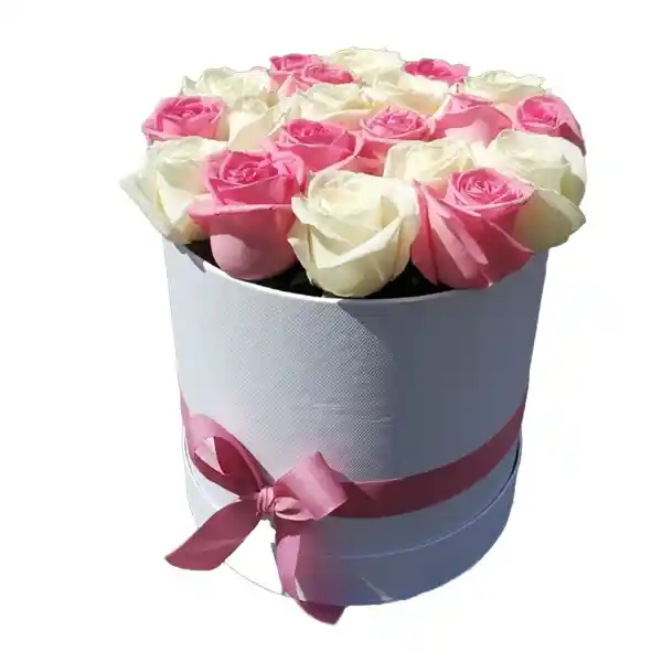 Yourgift 24 Rosa Bicolor / Pink An White