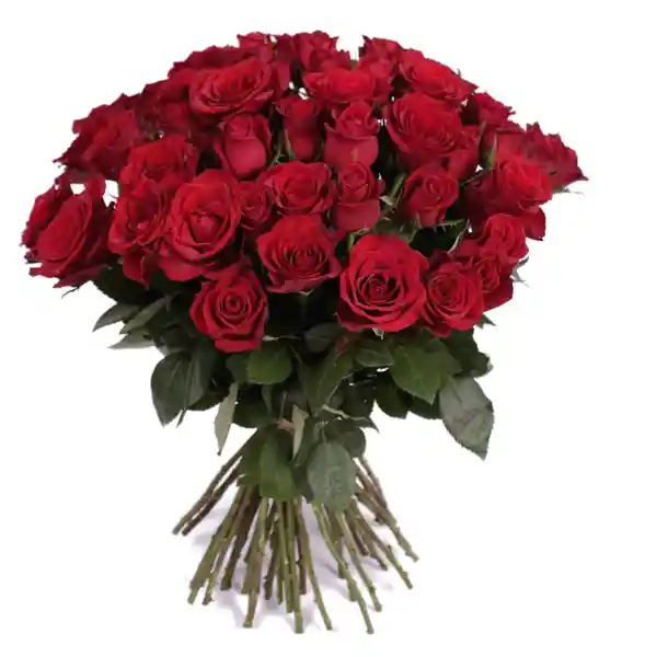 Yourgift Bouquet De 24 Rosas Color Red