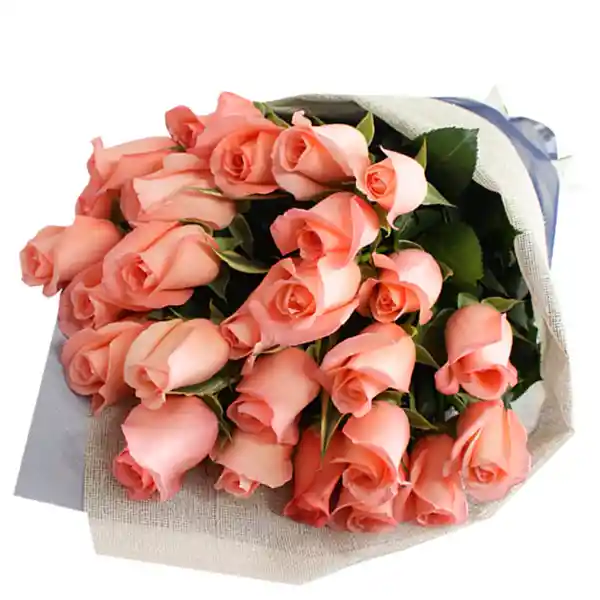 Yourgift Bouquet 24 Rosas Color Salmon