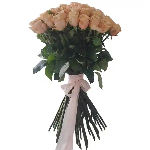 Yourgift Bouquet 24 Rosas Color Guayaba