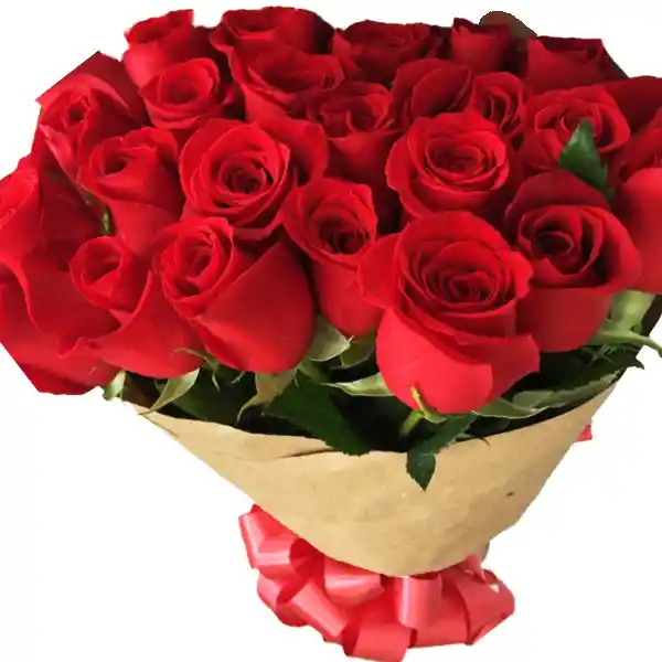 Yourgift Bouquet 24 Rosas Color Red En Craf