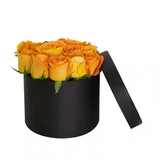 Flores Entre Arreglo Floral Caja Redonda De 24 Rosas Naranja