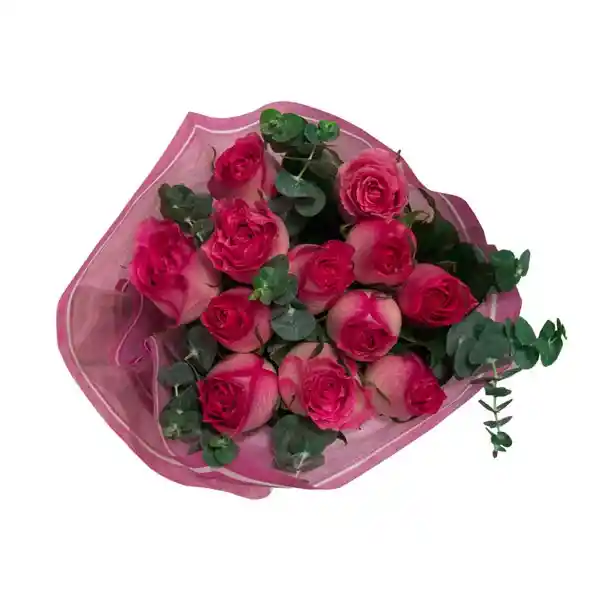 Entre Flores Arreglo Floral Bouquet 12 Rosas Fucsia