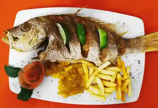 Pargo Rojo 600 gr