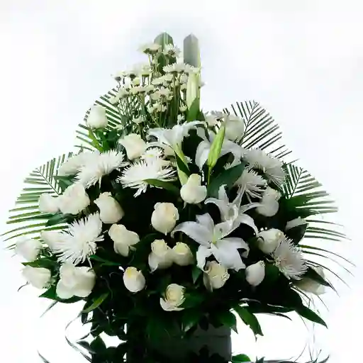 Flores Arte Ofrenda Condolencias