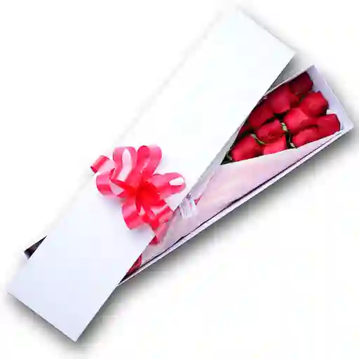 Flores Arte Caja Elegante de 12 Rosas Rojas