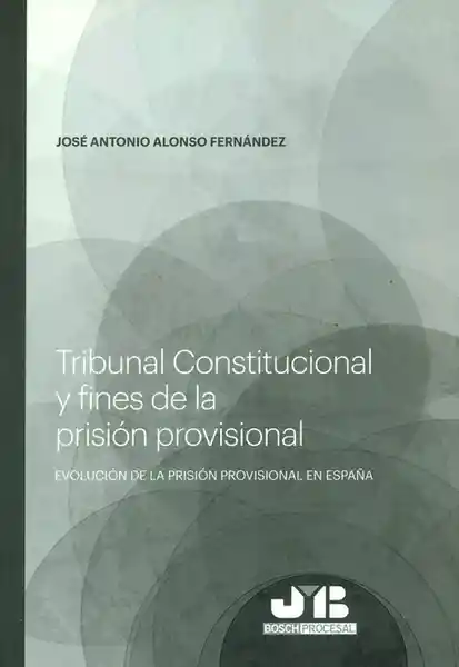 Tribunal Constitucional y Fines de la Prisión Provisional