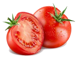 Tomate Chonto Extra