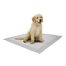 15 Unidades de Tapetes absorbentes Entrenadores Perro 