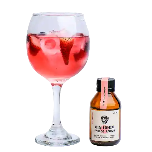 Ginebra Gin Tonic Frutos Rojos