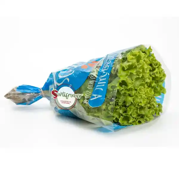 Lechuga verde crespa hidroph bolsa x 220 gr