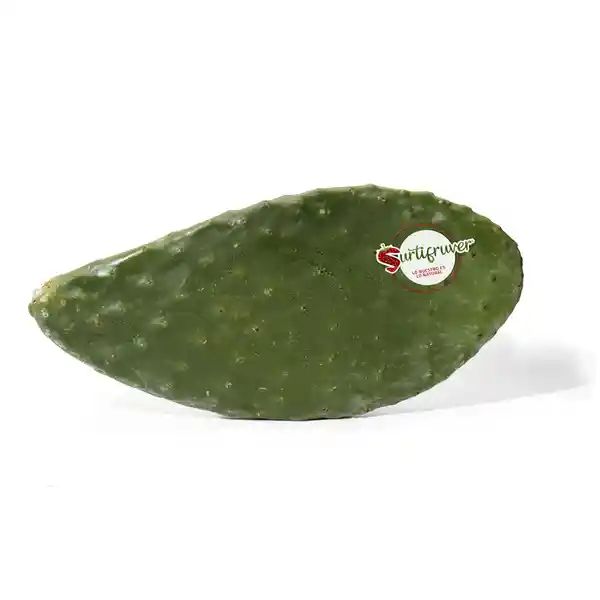 Nopal