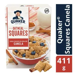 Quaker Cereal Oats Squares de Canela