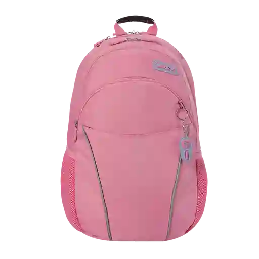 MORRAL P TABLET Y PC CAMBRI