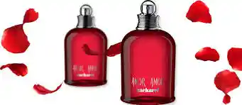 Amor Amor Cacharel Eau De Toilette Kit