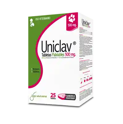 Uniclav 500 Mg