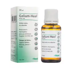 Galium Heel Solución Oral en Gotas