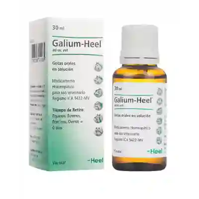 Galium Heel Solución Oral en Gotas