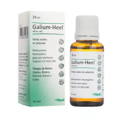 Galium Heel Solución Oral en Gotas