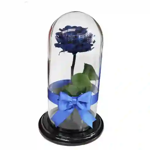 Rosa Preservada Azul Oscuro