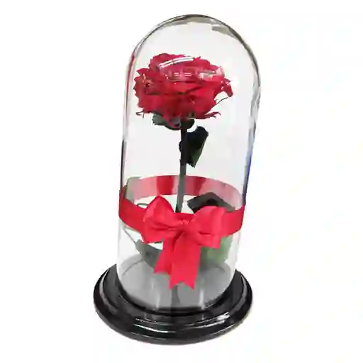 Rosa Preservada Roja - Rosa Eterna