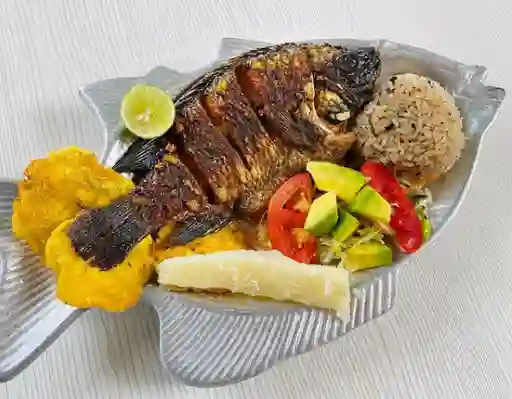 Mojarra Lora