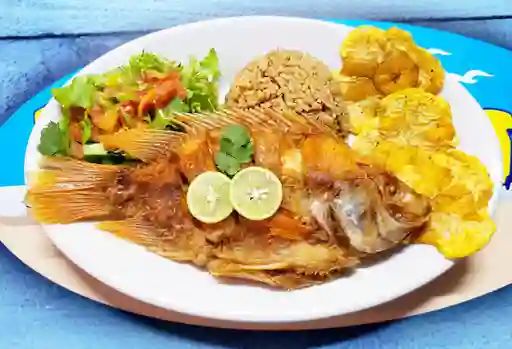 Mojarra Roja