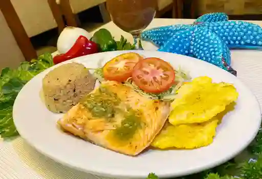 Salmón