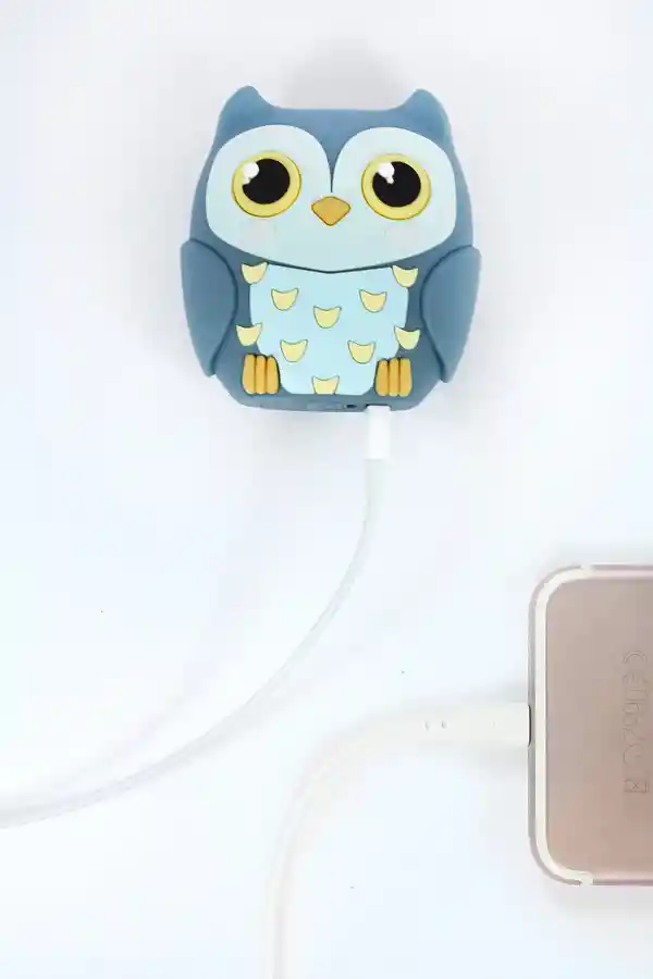 Inusual Design Batería Baby Owl