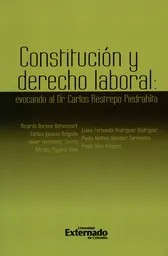 Constitución y Derecho Laboral - Alfredo Puyana Silva