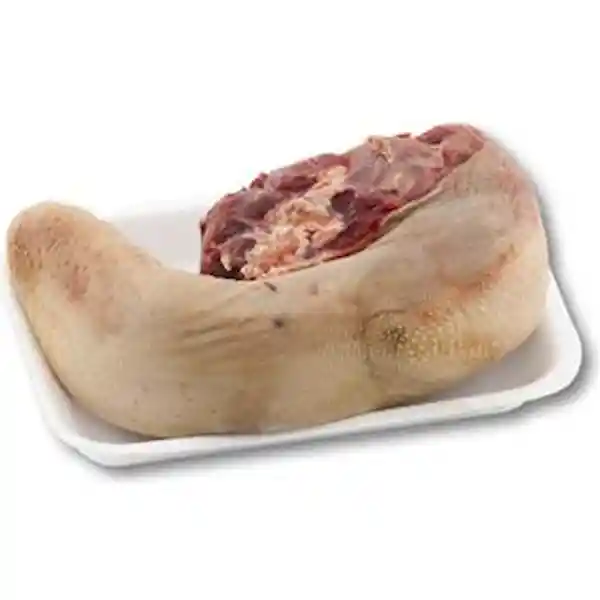 Lengua