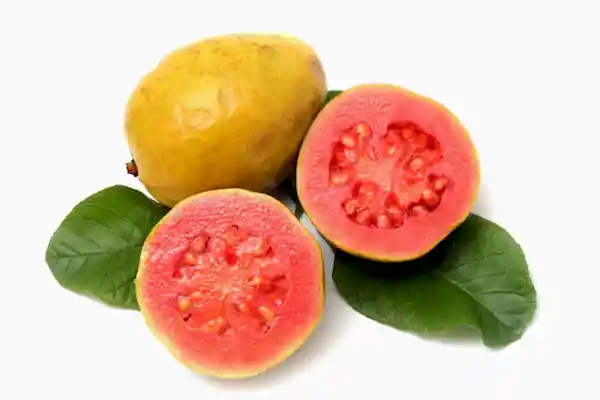 Guayaba