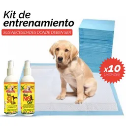 Natural Freshly Kit de Entrenamiento Para Cachorros