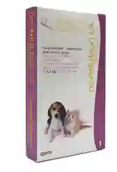 Revolution Antiparasitario 6% Para Perros y Gatos 2.5 Kg